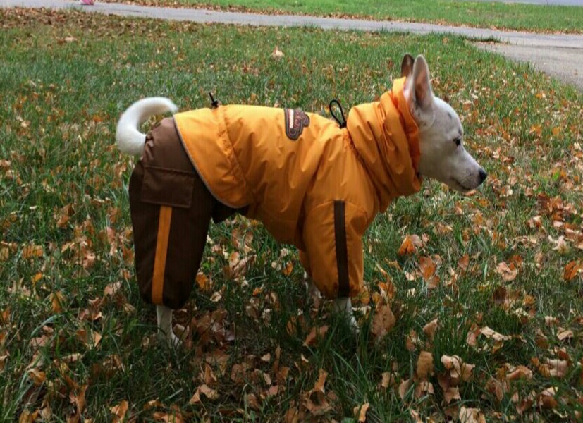 Aramis  suņu apģērbs /Ziemas kombinezons,M